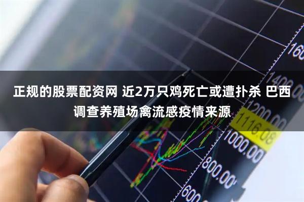 正规的股票配资网 近2万只鸡死亡或遭扑杀 巴西调查养殖场禽流感疫情来源
